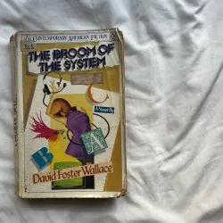 The Broom of the System -