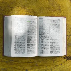 TỪ ĐIỂN VIỆT - HÀN 998146