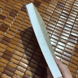 Bản năng - Mitsuyo Kakuta 525530