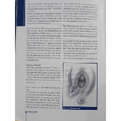 SẢN PHỤ KHOA - Từ bằng chứng đến thực hành 1004314