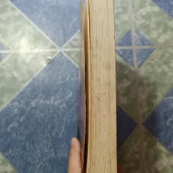 Cánh chim trong giông bão - Quỳnh Dao 975054