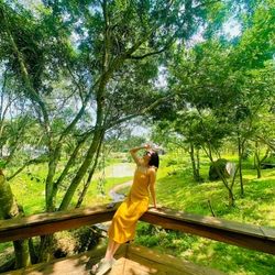 Đầm vàng 2 dây 525164