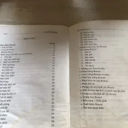 Tạo dáng bonsai 780635