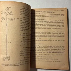 Sinh học 10 - 1991s 797106