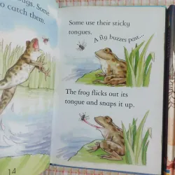 COMBO USBORNE YOUNG READING: FROGS – GLADIATORS – THE STORY OF FOOTBALL – HANSEL & GRETEL 961690