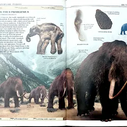 DINOSAURS AND PREHISTORIC LIFE- Tác giả HAZEL RICHARSON 1042891