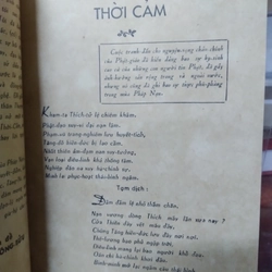 Mấy Vần Thơ Mùa Pháp Nạn 518334