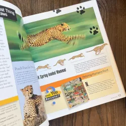✨𝑴𝒂𝒎𝒎𝒂𝒍𝒔✨ sách cũ ngoại văn, sách khoa học 565232