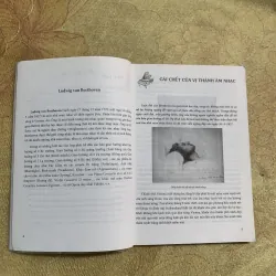 COMBO BEETHOVEN NHÀ SOẠN NHẠC VĨ ĐẠI & KỲ TÀI ÂM NHẠC NGƯỜI CHIẾN THẮNG SỐ PHẬN 784952