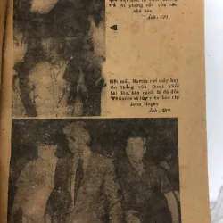 Cuộc tháo chạy tán loạn  Tác giả: Frank Snepp 739759