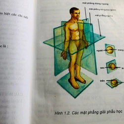 GIẢI PHẪU NGỰC - BỤNG / GIẢI PHẪU NGƯỜI  530569