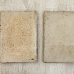 CÂY GỖ RỪNG VIỆT NAM ( tập 2,4,5,6) 956969