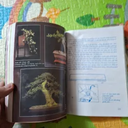 Bonsai - Cây dáng, thế và Non bộ 933891