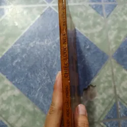 Chiếc lược ngà -  Nguyễn Quang Sáng 1000532