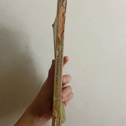 Luận pháp văn 🌻 588502