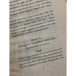 Quidditch Through the Ages – Kennilworthy Whisp 559516