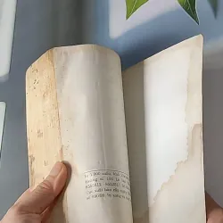 Bí mật đảo Lincoln - Jules Verne 607696