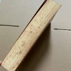 Trên sa mạc và trong rừng thẳm 960832