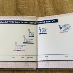 NHẬT KÝ THAI KỲ 40 TUẦN HẠNH PHÚC  Sách bìa cứng, in màu, giấy bóng  304057