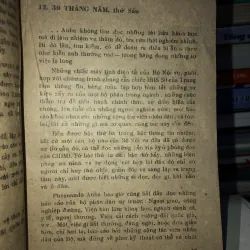 Bóng chim câu trên sóng biển Maiami - Danien Chavaria 789050