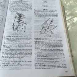 TỪ ĐIỂN CÂY THUỐC VIỆT NAM - VÕ VĂN CHI 930937
