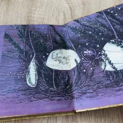 VLA - ĐI - MIA BRA - GHIN Ở XỨ CỎ RẬN 975807