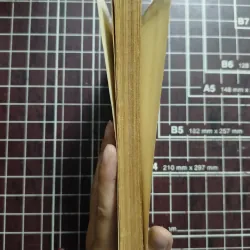 Kinh thi tản đà - Nguyễn Khắc Hiếu & Nhiêm Thượng Văn & Đặng Đức Tô 731121