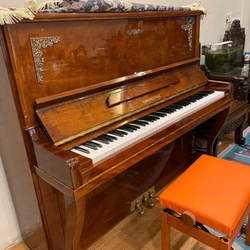 Piano V.Marktone màu như hình đang sử dụng 323800