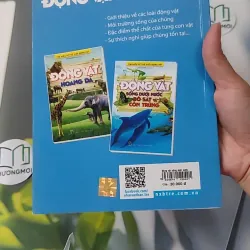 Động vật: Sống dưới nước, bò sát và côn trùng - An Khánh 1018832