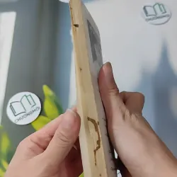 [MIỄN PHÍ BỌC SÁCH] [XƯA] Mê Lộ (1989) - Phạm Thị Hoài 997663