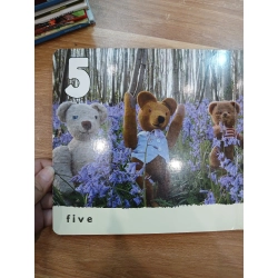 Bluebell Bears - David Ellwand 543913