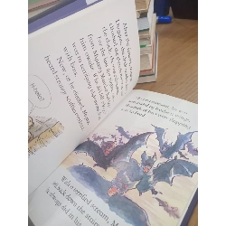 Mystery Mansion (Phil Roxbee Cox) - Usborne Young Reading 1010059