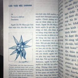 Thảo dược & tình yêu  714029