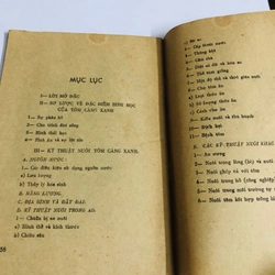 Kỹ thuật nuôi tôm càng xanh 528073
