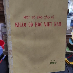 Một số báo cáo về khảo cổ học Việt Nam