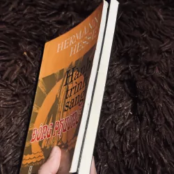 Combo Herman Hesse 996749