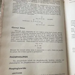 Biochemistry: a brief course- hóa sinh - sách y - Abraham Mazur, Ph.D.- 1968-  996336