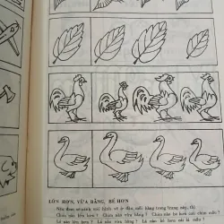 COMBO 6 CUỐN MỞ MANG NĂNG KHIẾU - BÙI VĂN BẢO 747802