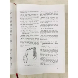 Cây cỏ có ích ở Việt Nam - Võ Văn Chi & Trần Hợp ( trọn bộ 2 tập ) 128165