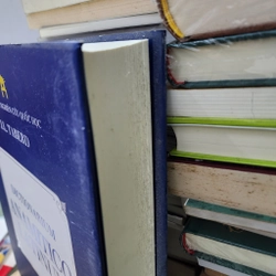 Dictionamrium Anamitico Latinum | J.L. Taberd | bìa cứng 443317