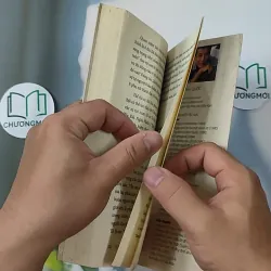 Tình Éo Le Mà Lý Oái Oăm - Lê Minh Quốc 798357