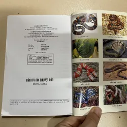 Năm Tỵ nói chuyện Rắn  (c47) 997459