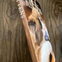 ✨𝑲𝒊𝒕𝒕𝒆𝒏𝒔✨ 693154