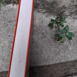 Nhân tướng học tòn thư của Thiệu Vĩ Hoa  1028224