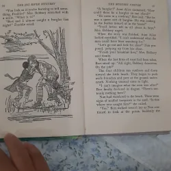 The bobbsey twins and the big rivers mystery 930936