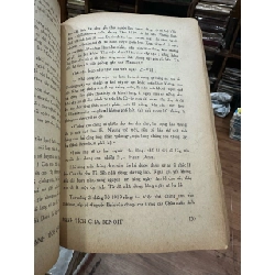 Hạnh Tích Cha Benoit 1065799