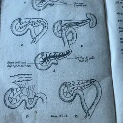 Bài giảng bệnh học ngoại khoa-  tập một tiêu hóa- 1988 789596