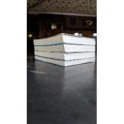 Light novel Cop Craft - Shouji Gato 933019