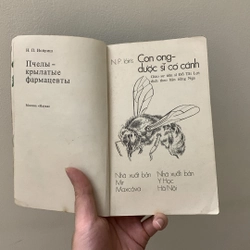 Con ong dược sĩ có cánh 335875