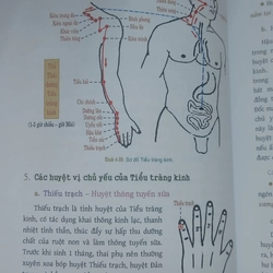 DƯỠNG SINH THÔNG KINH LẠC  517246